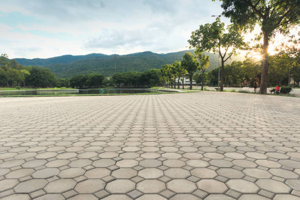 Best Residential Driveway Paving in Louise, TX